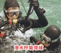 成功成人深夜小视频