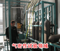 成功成人深夜小视频
